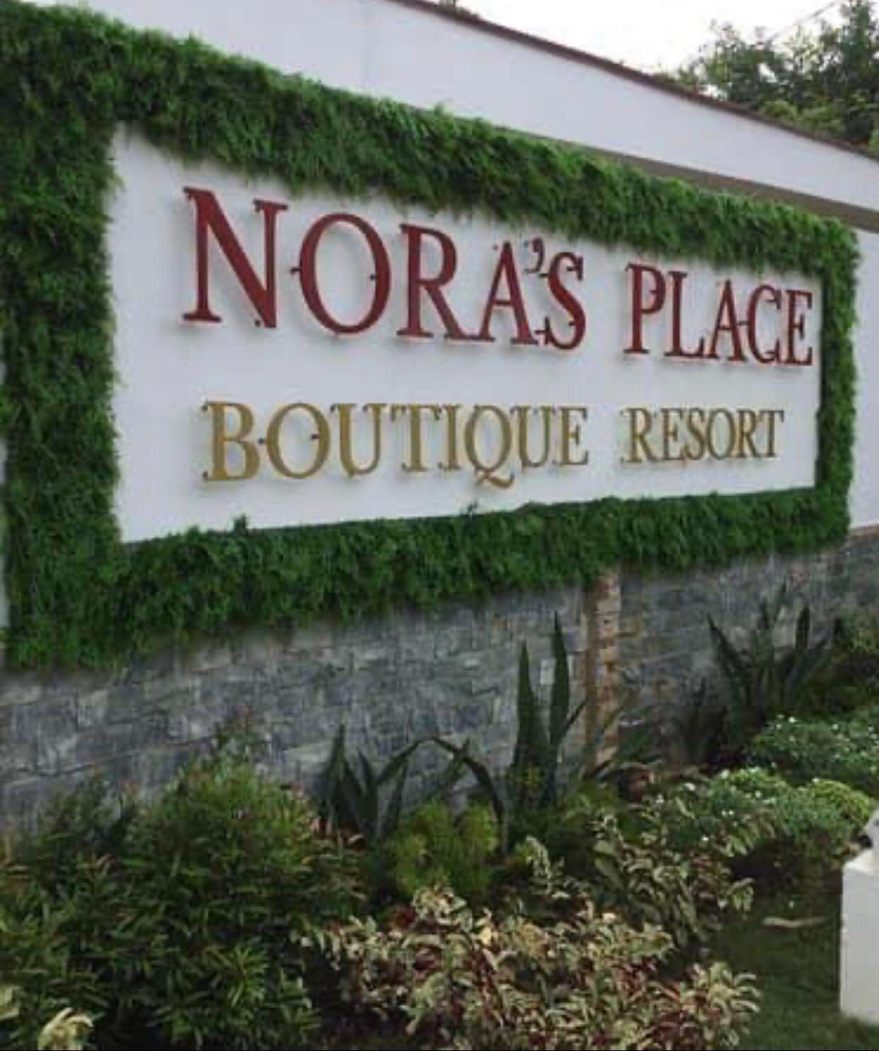 Nora s Place Boutique Resort Tropical Getaway in Panglao Island